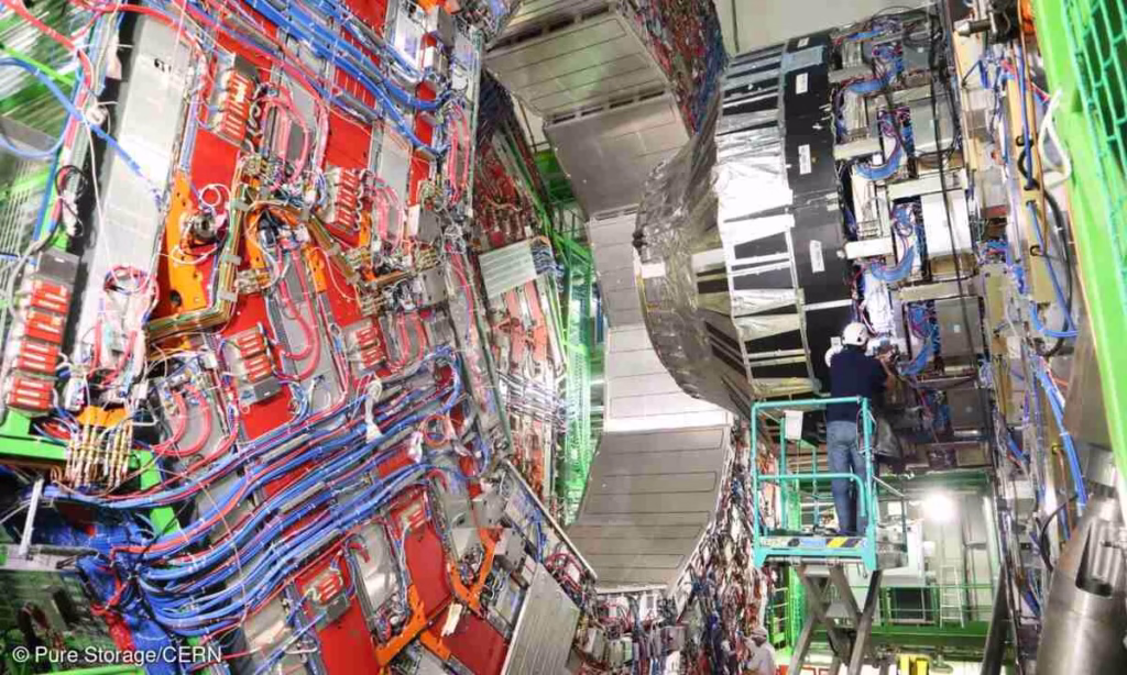 CMS detector