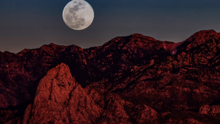 A nearly full moon rising low over a mountain ridge, the horizon setting where the moon illusion is strongest