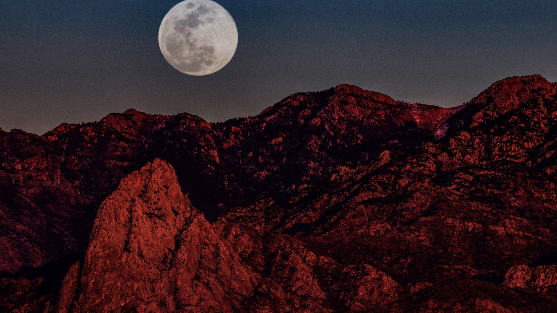 A nearly full moon rising low over a mountain ridge, the horizon setting where the moon illusion is strongest