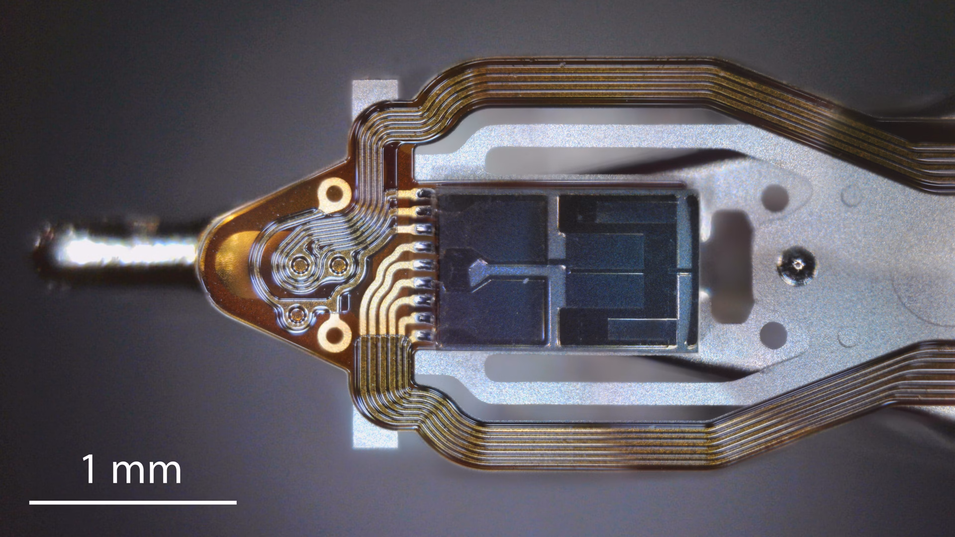 Veduta al microscopio della testina di lettura e scrittura di un disco rigido sul suo supporto cardanico, con tracce in oro e una barra di scala da 1 mm