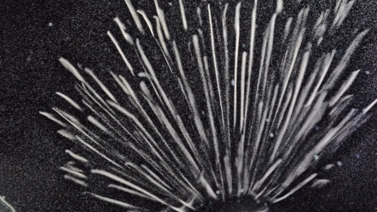 Tracks of alpha particles fanning out from a radioactive source inside an expansion cloud chamber