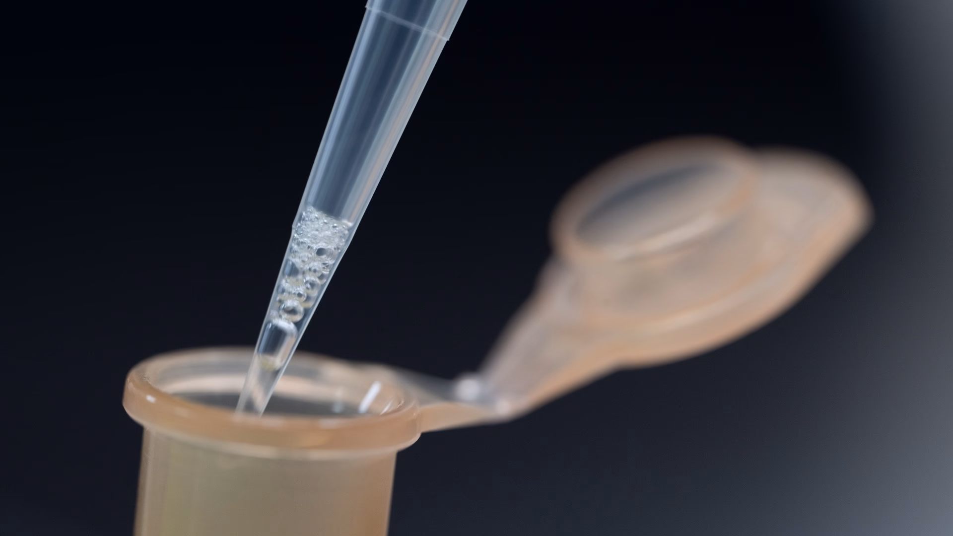 Close-up of a pipette tip dispensing liquid into a microcentrifuge tube during DNA sample preparation in a molecular biology lab